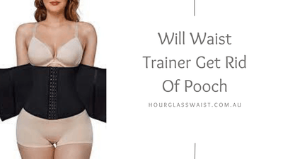 Will Waist Trainer Get Rid Of Pooch